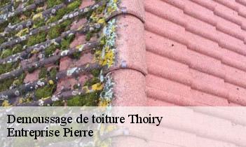 Demoussage de toiture thoiry-78770 Entreprise Pierre