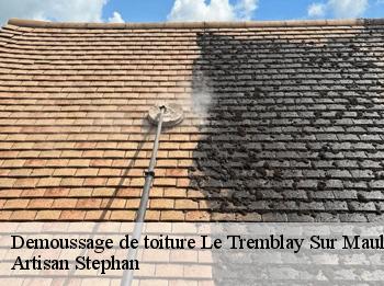 Demoussage de toiture  78490