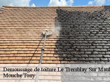 Demoussage de toiture  78490