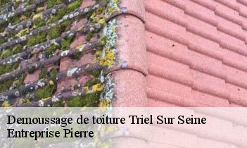 Demoussage de toiture triel-sur-seine-78510 Entreprise Pierre
