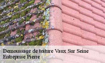 Demoussage de toiture vaux-sur-seine-78740 Entreprise Pierre