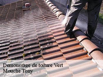 Demoussage de toiture