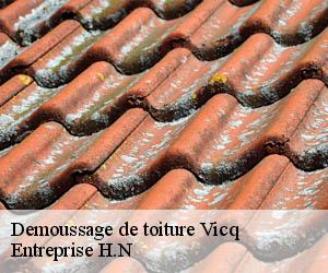 Demoussage de toiture  vicq-78490 Entreprise H.N