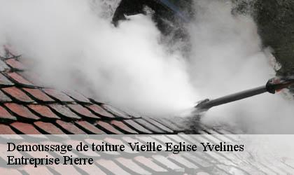 Demoussage de toiture 78125