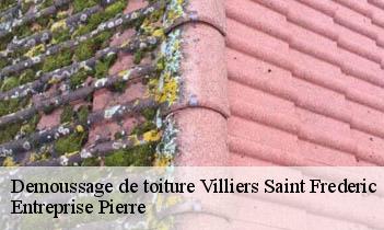 Demoussage de toiture villiers-saint-frederic-78640 Entreprise Pierre