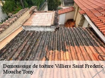 Demoussage de toiture  villiers-saint-frederic-78640 Mouche Tony