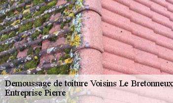 Demoussage de toiture voisins-le-bretonneux-78960 Entreprise Pierre