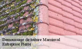 Demoussage de toiture marsinval-78540 Entreprise Pierre