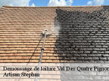 Demoussage de toiture  78650