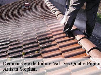 Demoussage de toiture