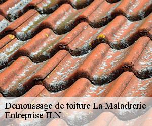 Demoussage de toiture  la-maladrerie-78300 Entreprise H.N