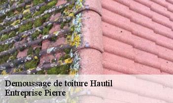 Demoussage de toiture hautil-78510 Entreprise Pierre