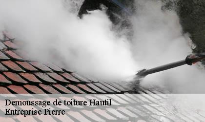 Demoussage de toiture 78510
