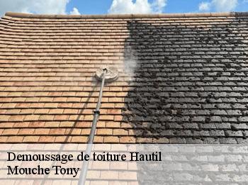 Demoussage de toiture  78510