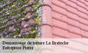 Demoussage de toiture la-breteche-78860 Entreprise Pierre