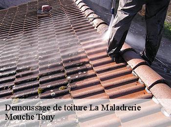 Demoussage de toiture