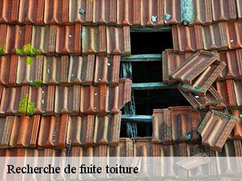 Recherche de fuite toiture Yvelines 
