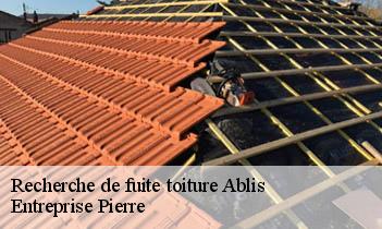 Recherche de fuite toiture ablis-78660 Entreprise Pierre