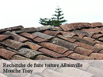 Recherche de fuite toiture  78660