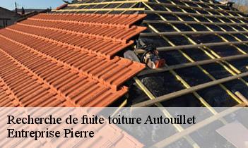Recherche de fuite toiture autouillet-78770 Entreprise Pierre