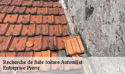 Recherche de fuite toiture 78770