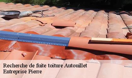 Recherche de fuite toiture