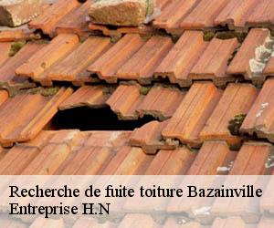 Recherche de fuite toiture  bazainville-78550 Entreprise H.N