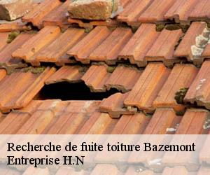 Recherche de fuite toiture  bazemont-78580 Entreprise H.N