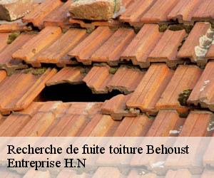 Recherche de fuite toiture  behoust-78910 Entreprise H.N