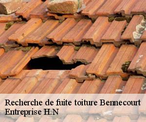 Recherche de fuite toiture  bennecourt-78270 Entreprise H.N