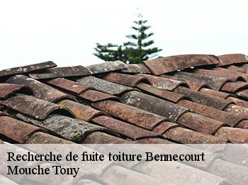 Recherche de fuite toiture  78270