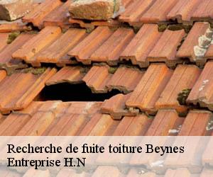 Recherche de fuite toiture  beynes-78650 Entreprise H.N