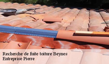 Recherche de fuite toiture