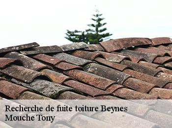 Recherche de fuite toiture  78650