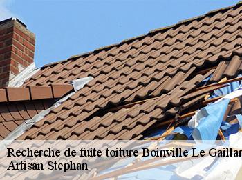 Recherche de fuite toiture  boinville-le-gaillard-78660 Artisan Stephan