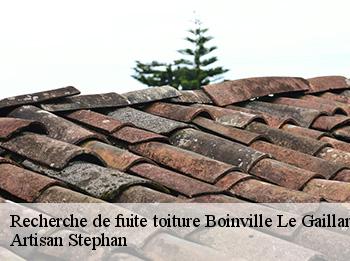 Recherche de fuite toiture  78660