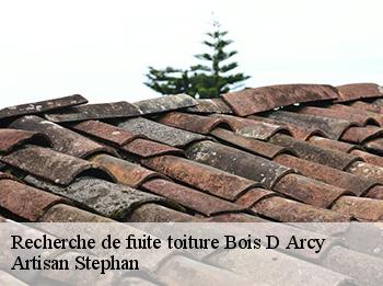 Recherche de fuite toiture  78390