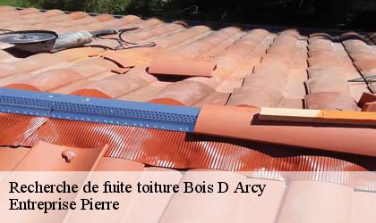Recherche de fuite toiture