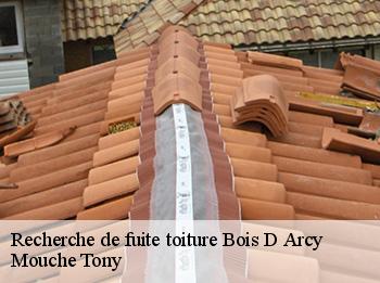 Recherche de fuite toiture