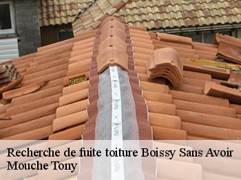 Recherche de fuite toiture