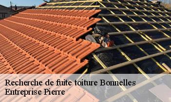 Recherche de fuite toiture bonnelles-78830 Entreprise Pierre