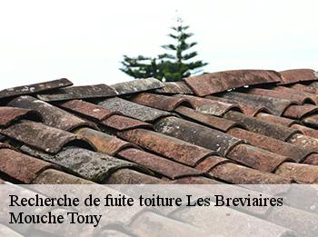 Recherche de fuite toiture  78610