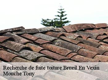 Recherche de fuite toiture  78440