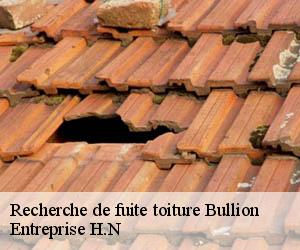 Recherche de fuite toiture  bullion-78830 Entreprise H.N