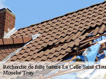 Recherche de fuite toiture  la-celle-saint-cloud-78170 Mouche Tony