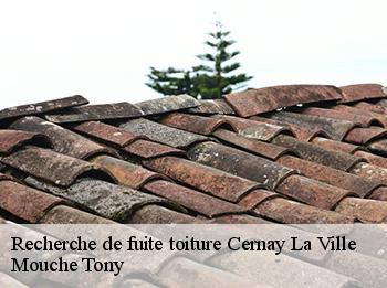 Recherche de fuite toiture  78720