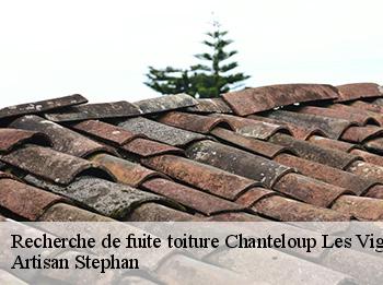 Recherche de fuite toiture  78570