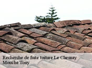 Recherche de fuite toiture  78150