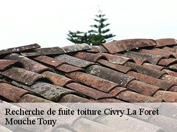 Recherche de fuite toiture  78910