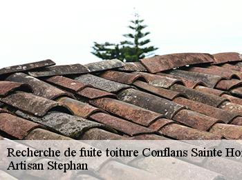 Recherche de fuite toiture  78700